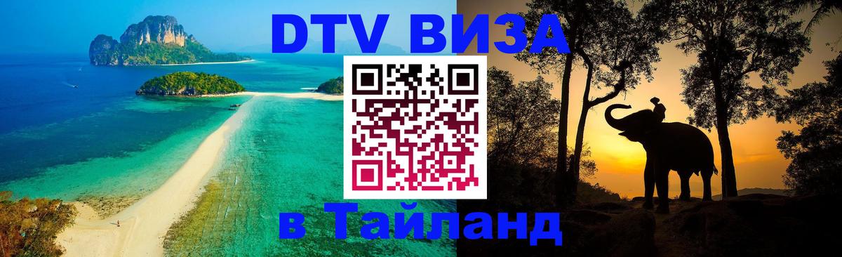 Сколько стоит DTV виза — актуальные цены, оформление даже без документов - 20.11.2025 